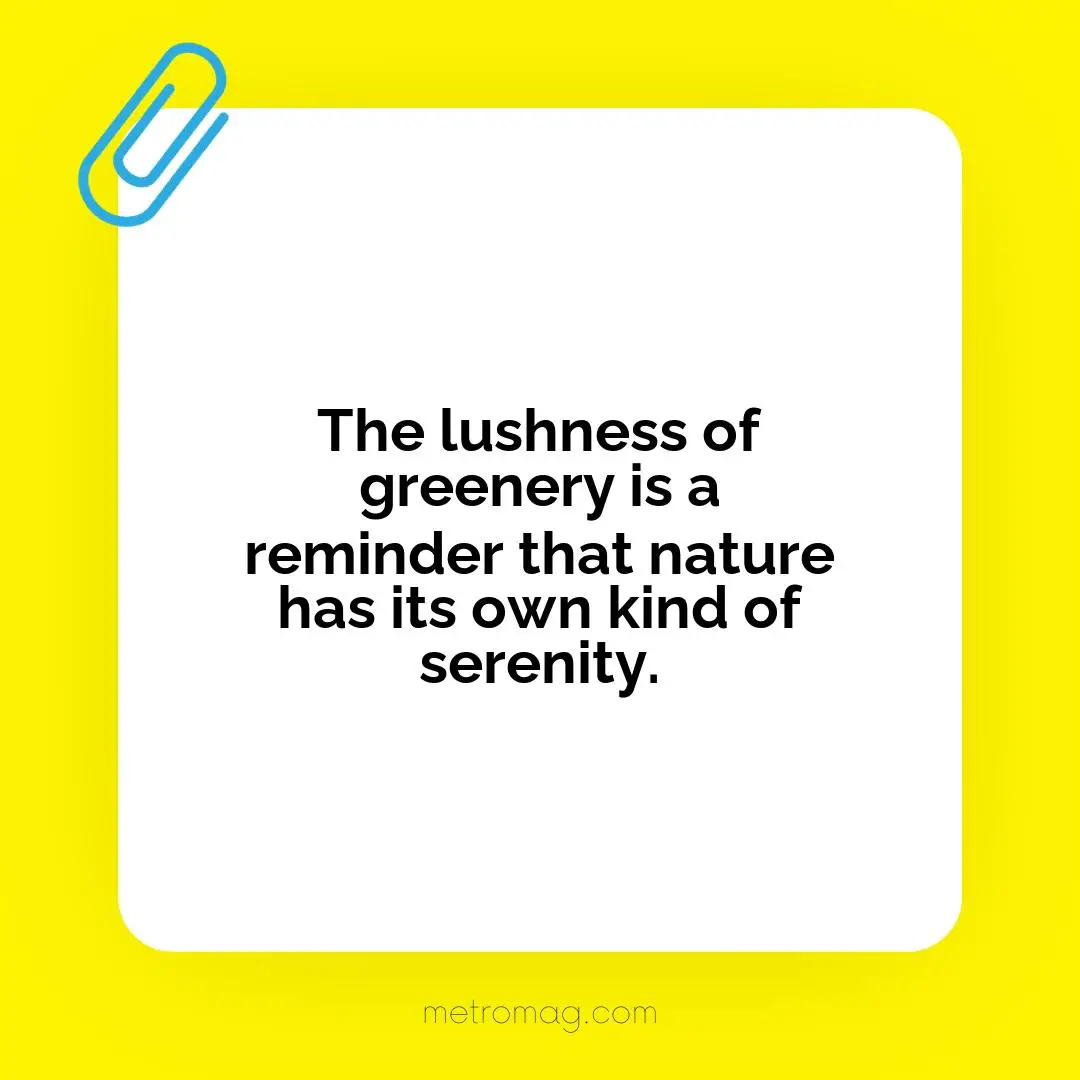 The lushness of greenery is a reminder that nature has its own kind of serenity.