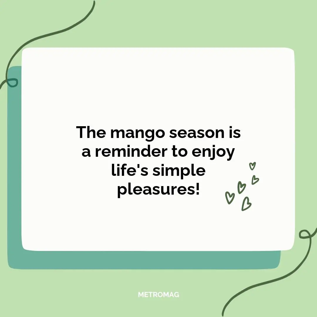 The mango season is a reminder to enjoy life's simple pleasures!