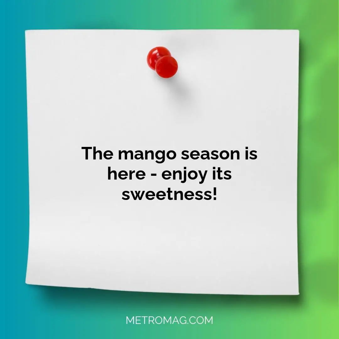 The mango season is here - enjoy its sweetness!