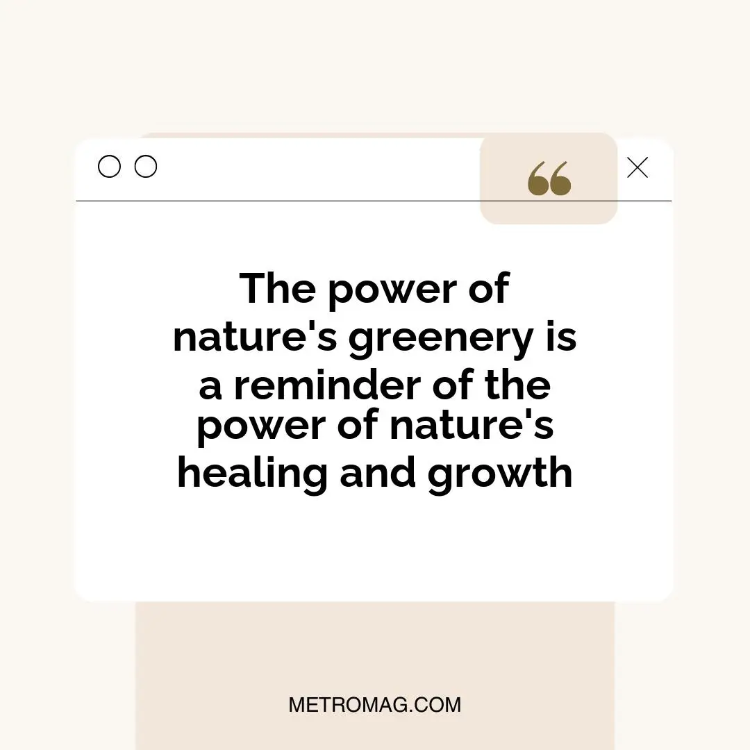 The power of nature's greenery is a reminder of the power of nature's healing and growth
