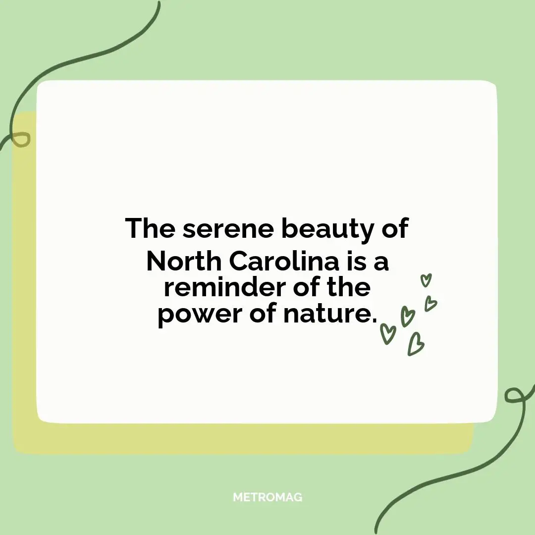The serene beauty of North Carolina is a reminder of the power of nature.