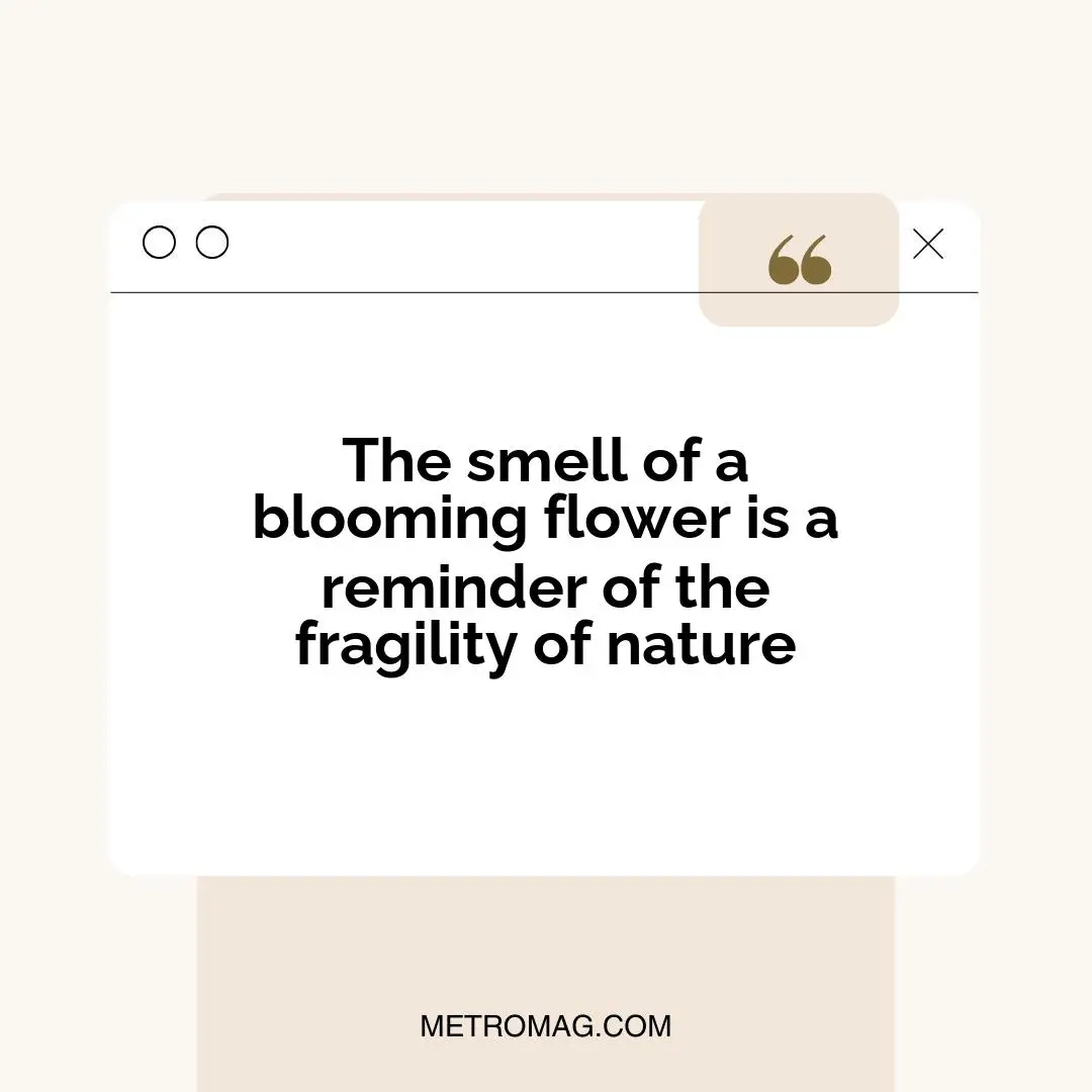 The smell of a blooming flower is a reminder of the fragility of nature