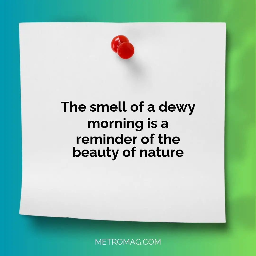 The smell of a dewy morning is a reminder of the beauty of nature
