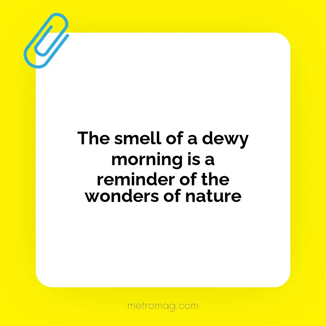 The smell of a dewy morning is a reminder of the wonders of nature
