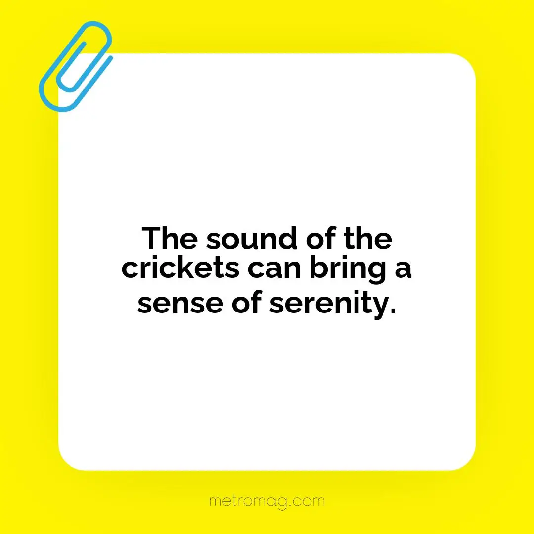 The sound of the crickets can bring a sense of serenity.