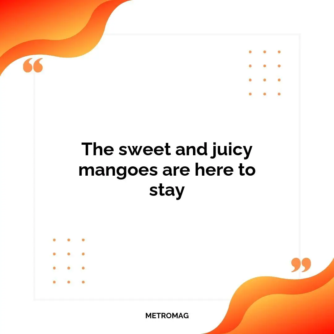 The sweet and juicy mangoes are here to stay