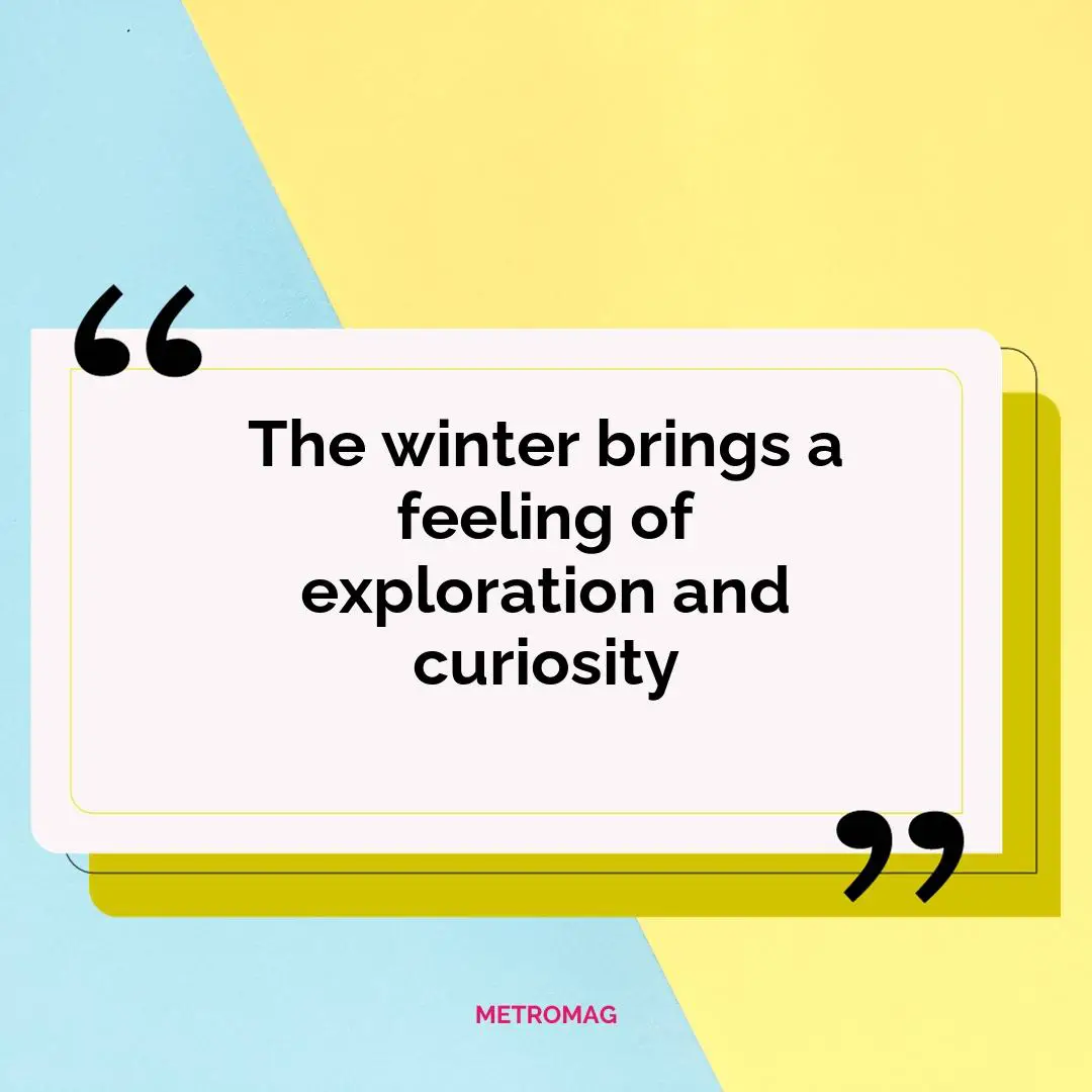 The winter brings a feeling of exploration and curiosity