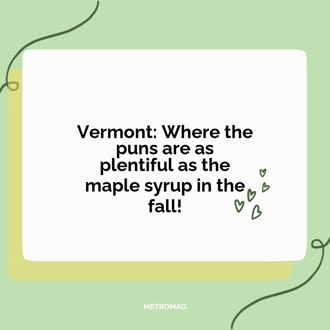 Vermont: Where the puns are as plentiful as the maple syrup in the fall!