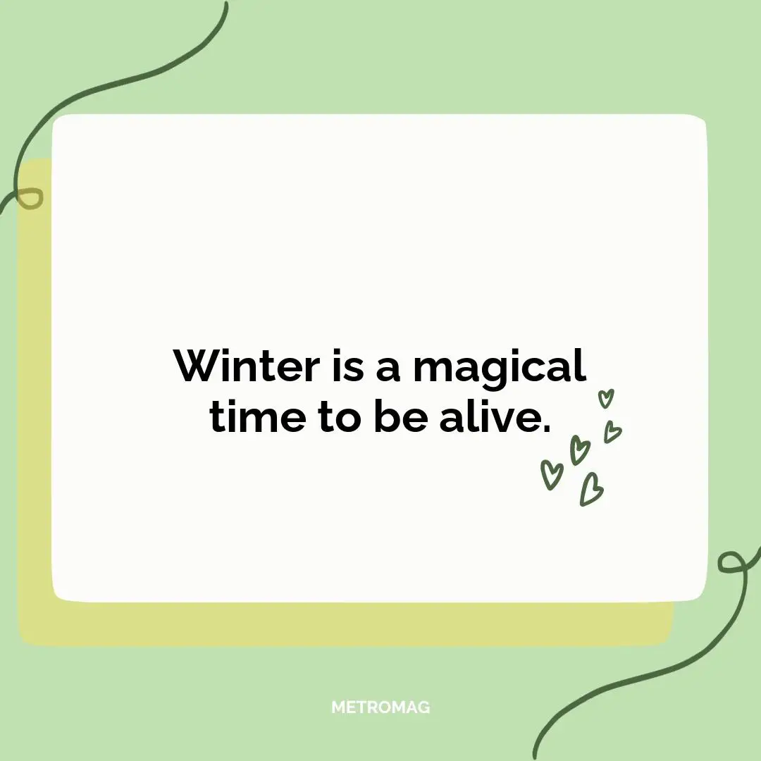 Winter is a magical time to be alive.