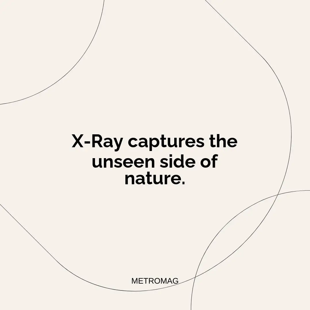 X-Ray captures the unseen side of nature.