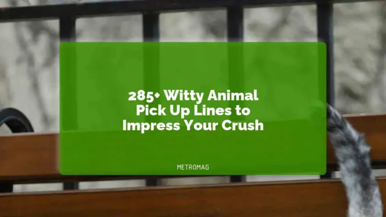 285+ Witty Animal Pick Up Lines to Impress Your Crush