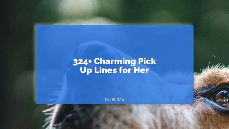324+ Charming Pick Up Lines for Her