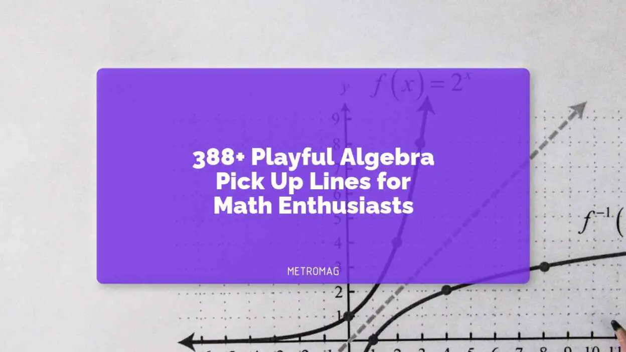 388+ Playful Algebra Pick Up Lines for Math Enthusiasts