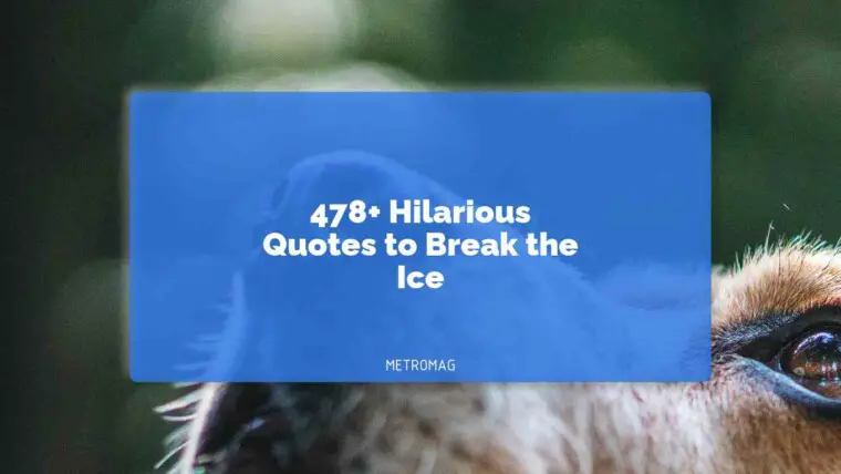 478+ Hilarious Quotes to Break the Ice