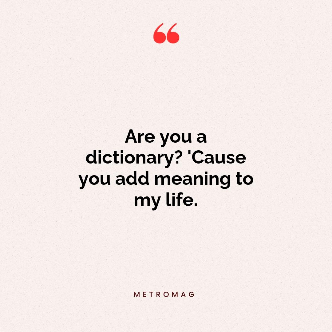 Are you a dictionary? 'Cause you add meaning to my life.