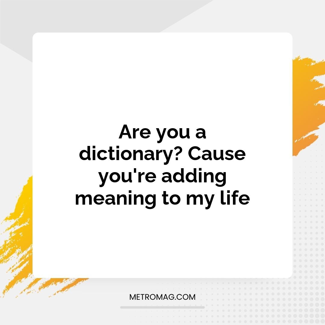 Are you a dictionary? Cause you're adding meaning to my life