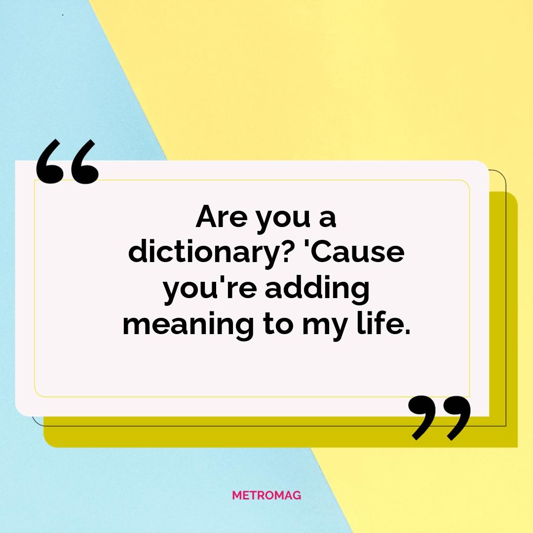 Are you a dictionary? 'Cause you're adding meaning to my life.