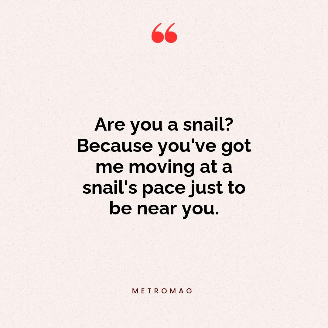Are you a snail? Because you've got me moving at a snail's pace just to be near you.