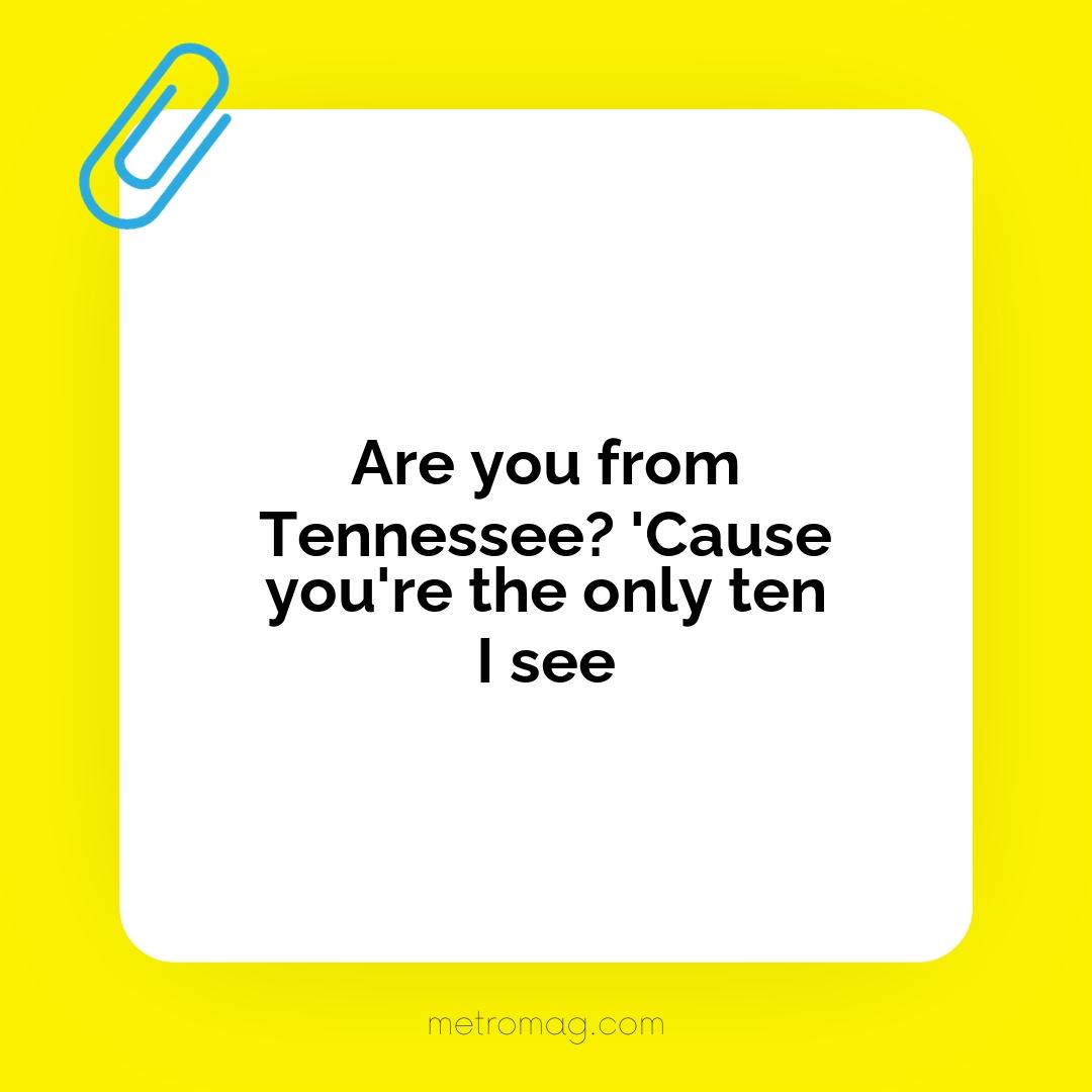 Are you from Tennessee? 'Cause you're the only ten I see