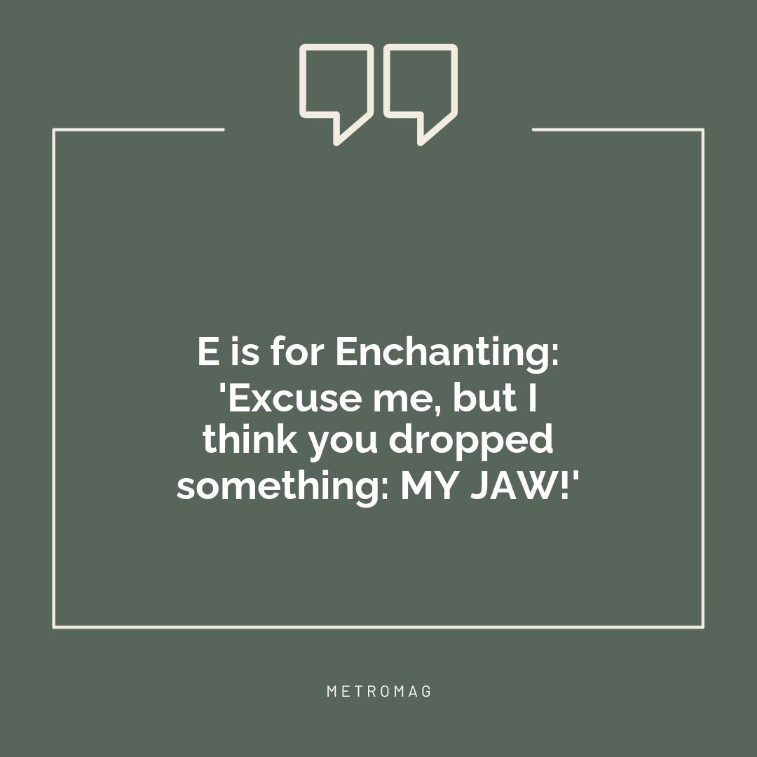 E is for Enchanting: 'Excuse me, but I think you dropped something: MY JAW!'