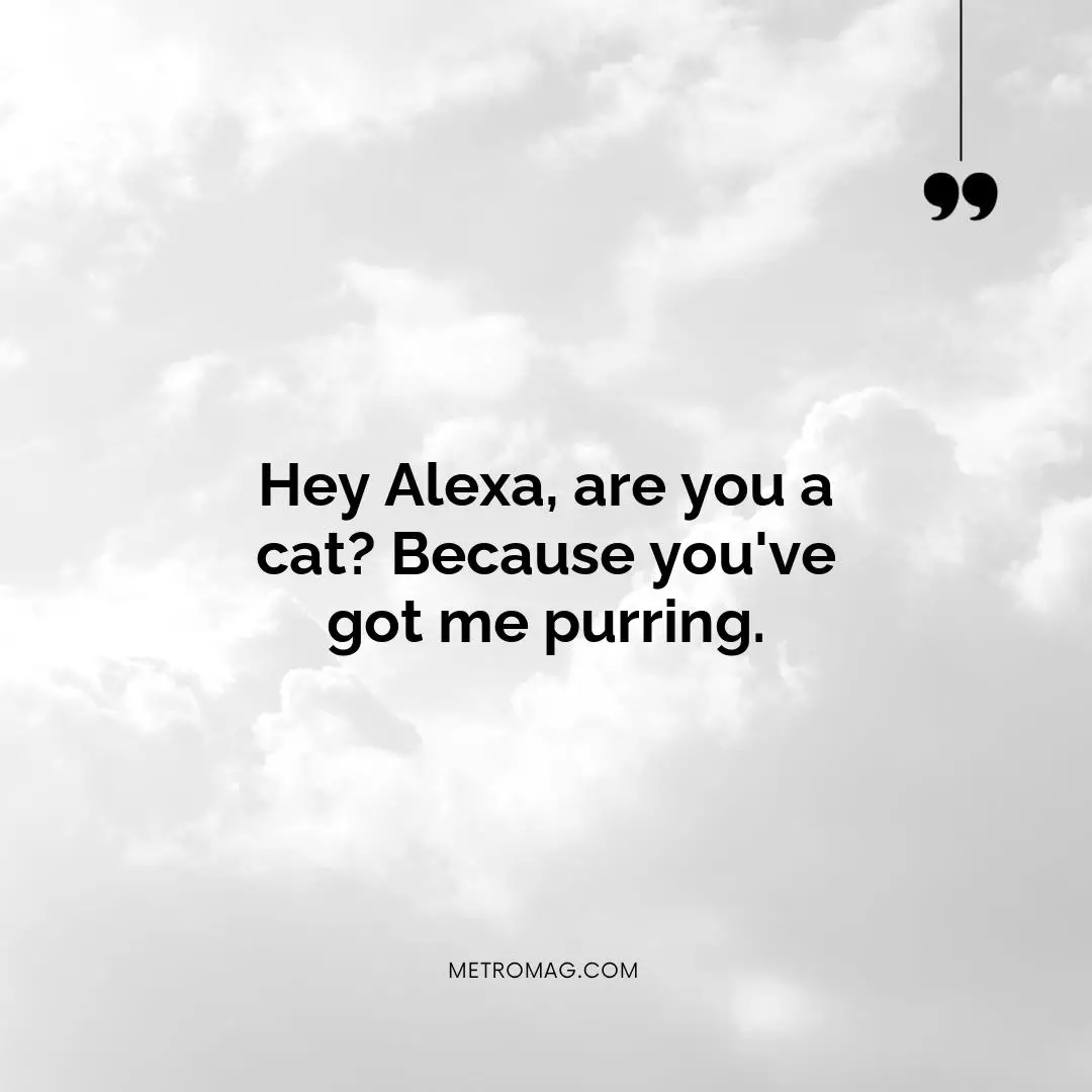 Hey Alexa, are you a cat? Because you've got me purring.