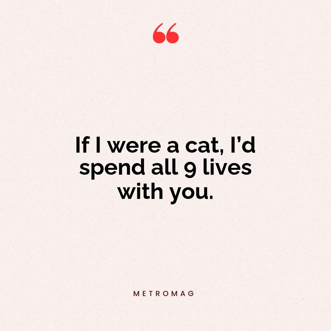 If I were a cat, I’d spend all 9 lives with you.