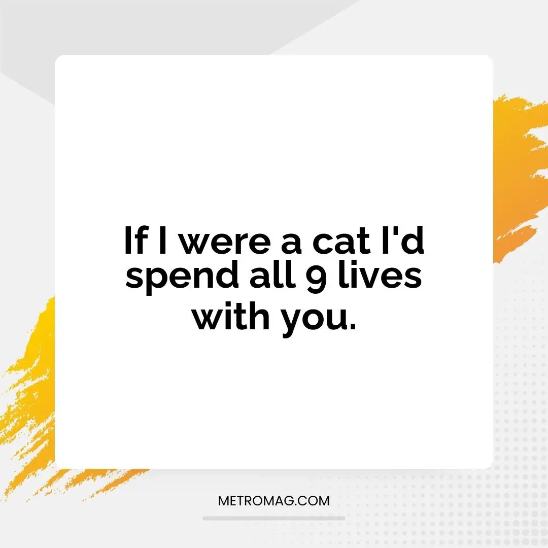 If I were a cat I'd spend all 9 lives with you.