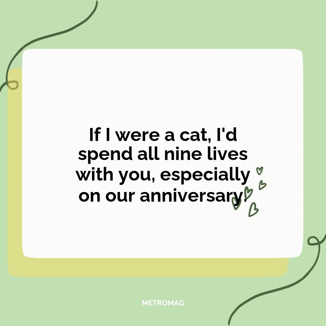 If I were a cat, I'd spend all nine lives with you, especially on our anniversary.