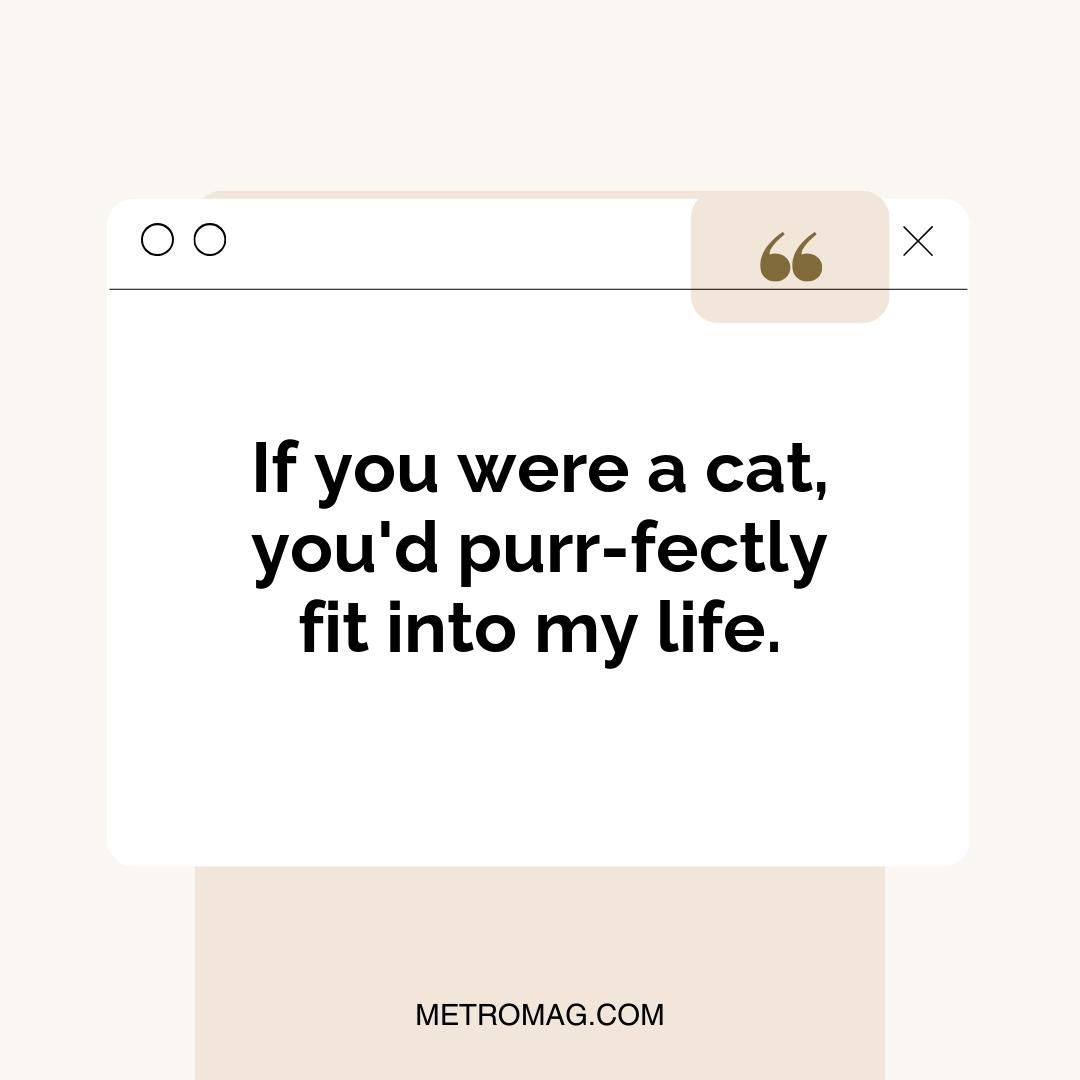 If you were a cat, you'd purr-fectly fit into my life.