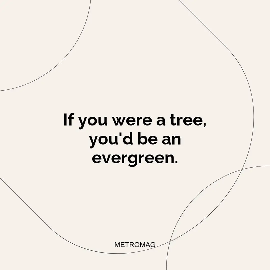 If you were a tree, you'd be an evergreen.