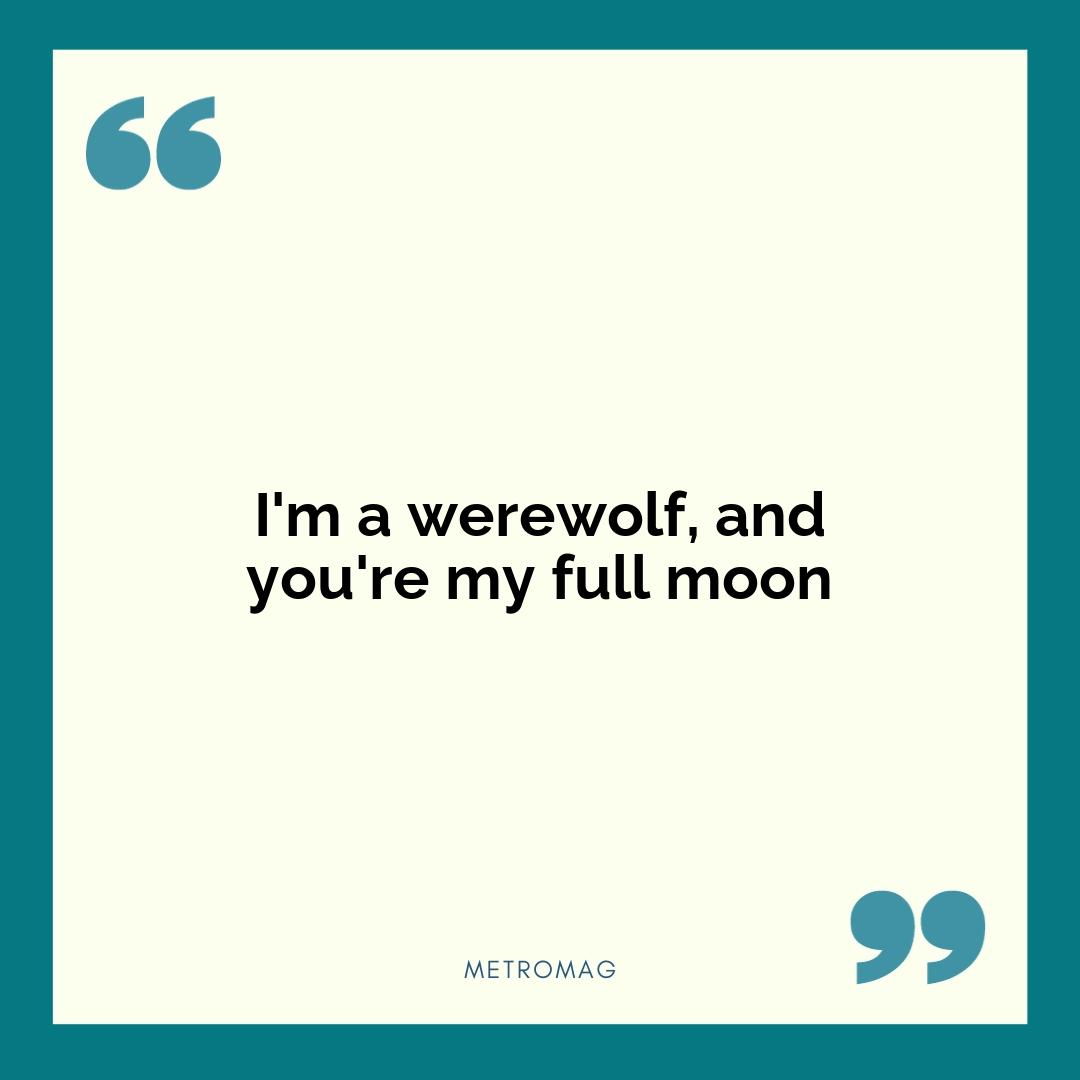 I'm a werewolf, and you're my full moon
