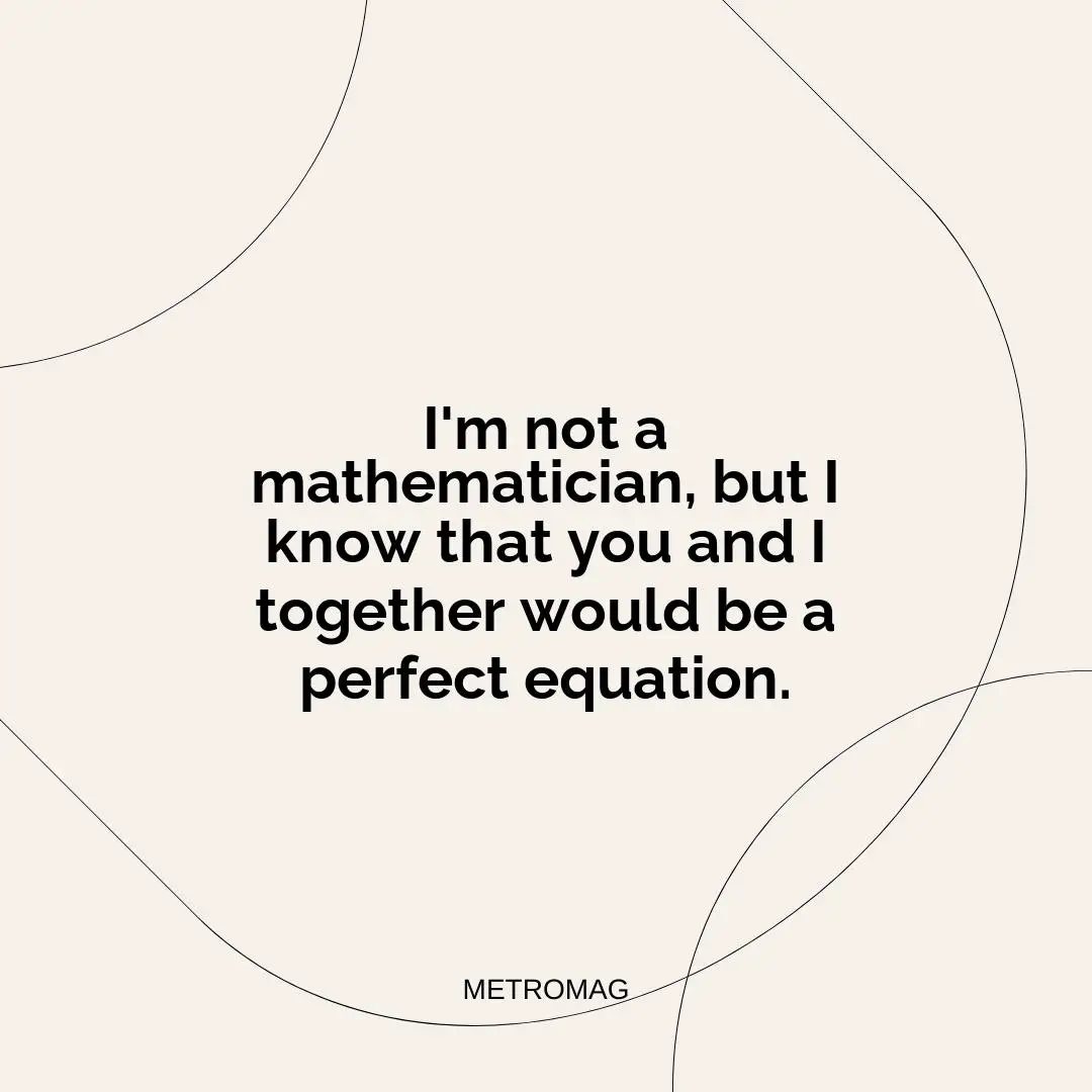 I'm not a mathematician, but I know that you and I together would be a perfect equation.