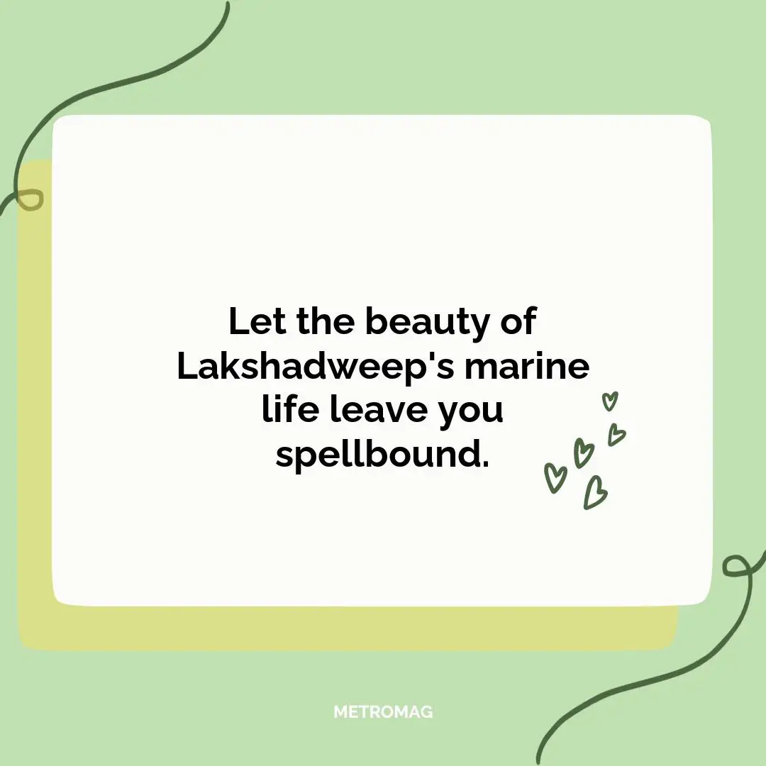 Let the beauty of Lakshadweep's marine life leave you spellbound.