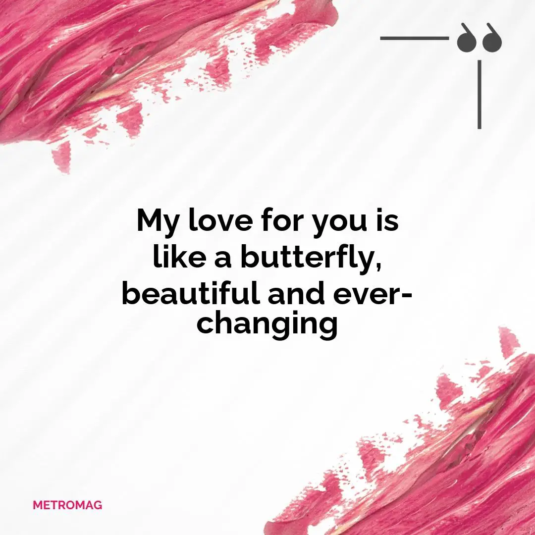 My love for you is like a butterfly, beautiful and ever-changing