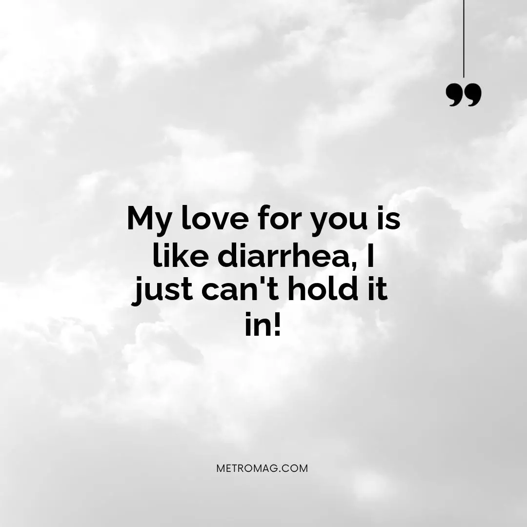 My love for you is like diarrhea, I just can't hold it in!