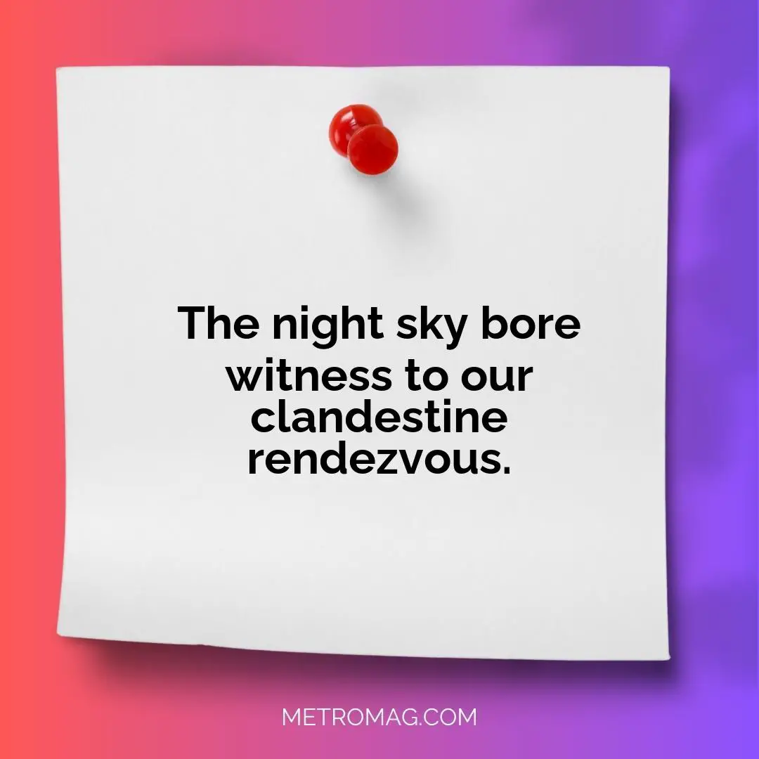 The night sky bore witness to our clandestine rendezvous.