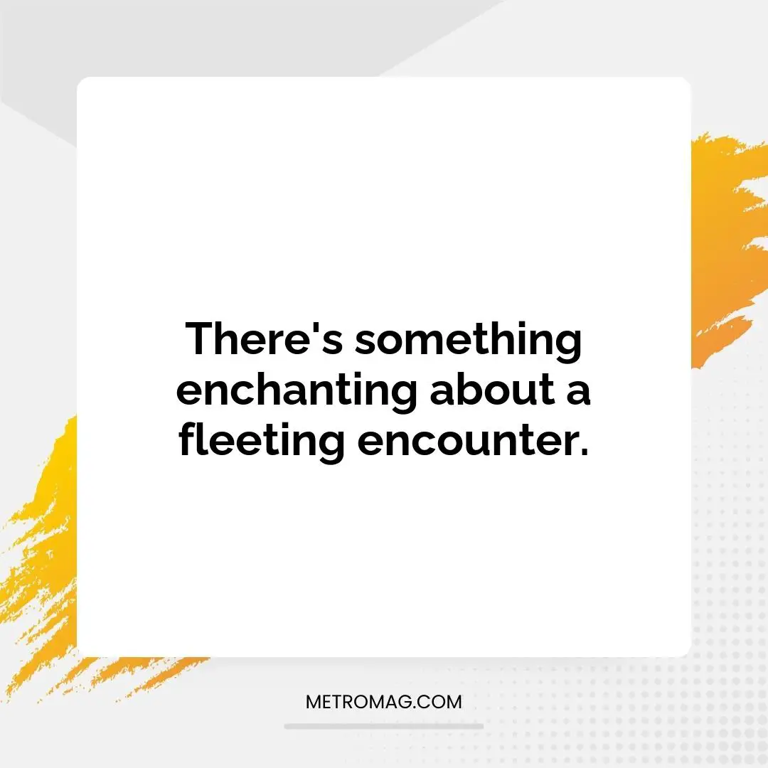 There's something enchanting about a fleeting encounter.