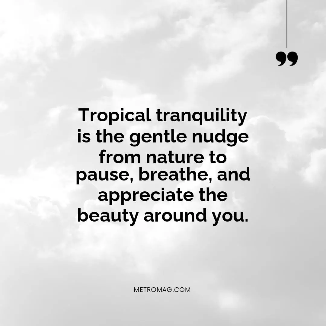 Tropical tranquility is the gentle nudge from nature to pause, breathe, and appreciate the beauty around you.