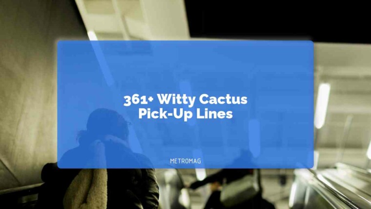 361+ Witty Cactus Pick-Up Lines