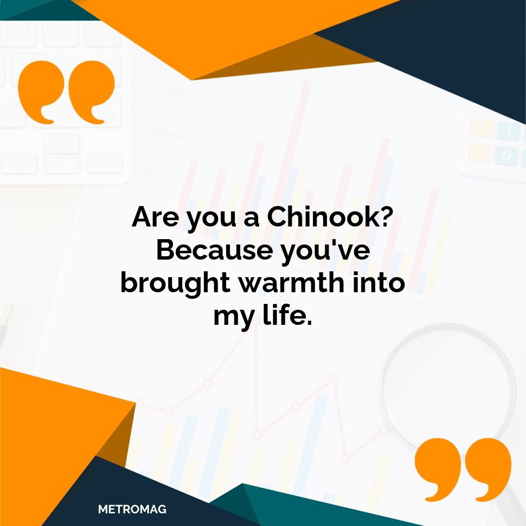 Are you a Chinook? Because you've brought warmth into my life.