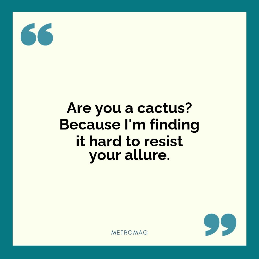 Are you a cactus? Because I'm finding it hard to resist your allure.
