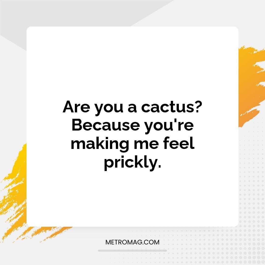 Are you a cactus? Because you're making me feel prickly.