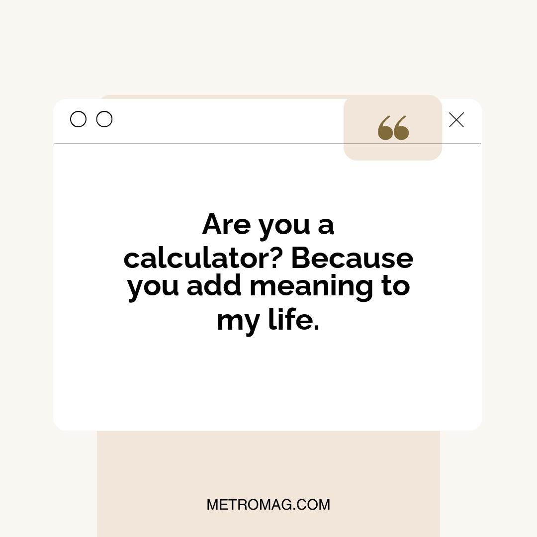Are you a calculator? Because you add meaning to my life.