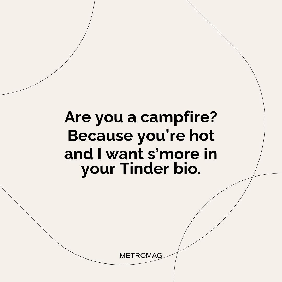 Are you a campfire? Because you’re hot and I want s’more in your Tinder bio.