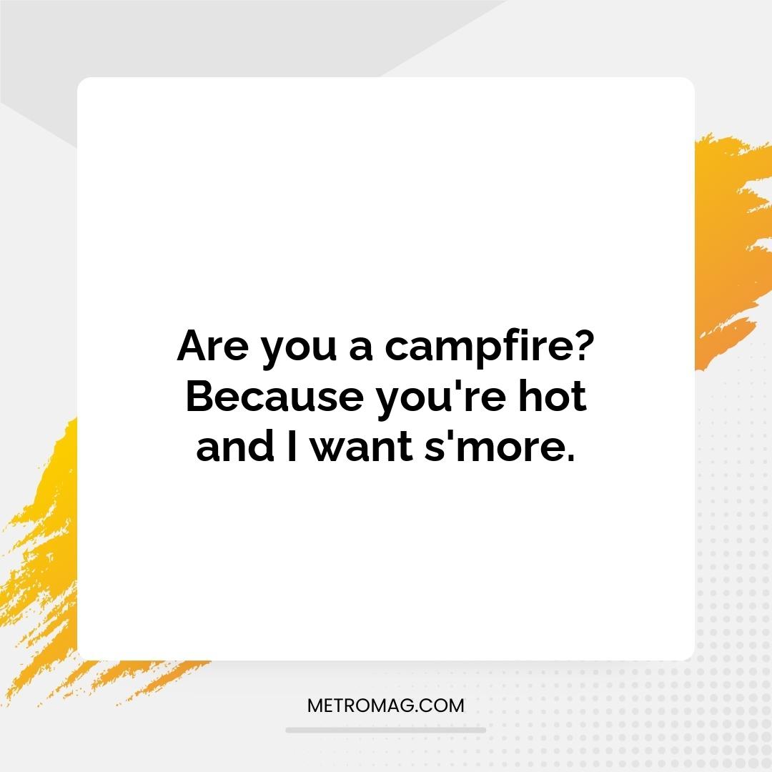 Are you a campfire? Because you're hot and I want s'more.