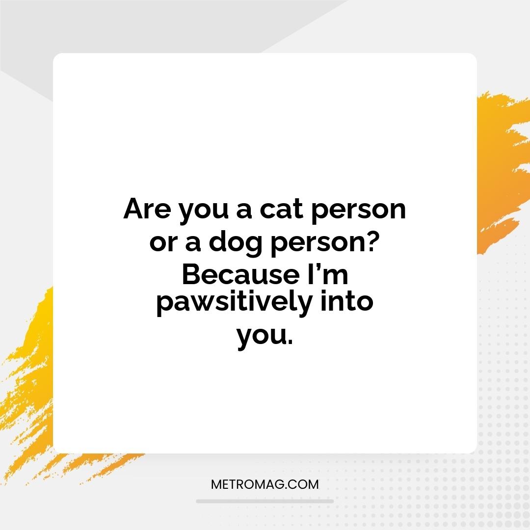 Are you a cat person or a dog person? Because I’m pawsitively into you.