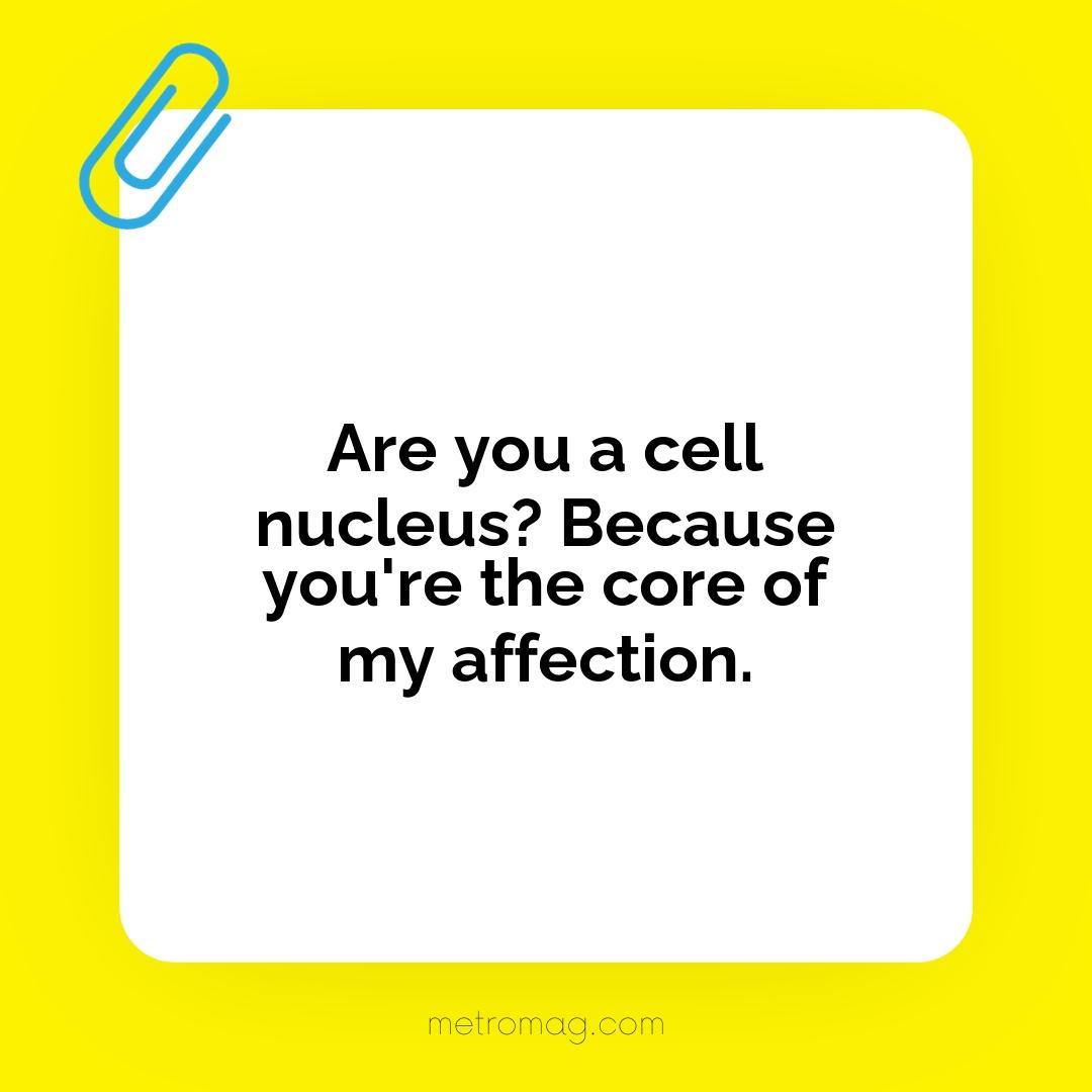 Are you a cell nucleus? Because you're the core of my affection.