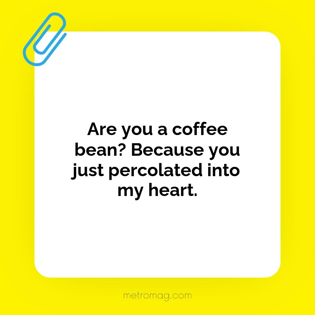 Are you a coffee bean? Because you just percolated into my heart.