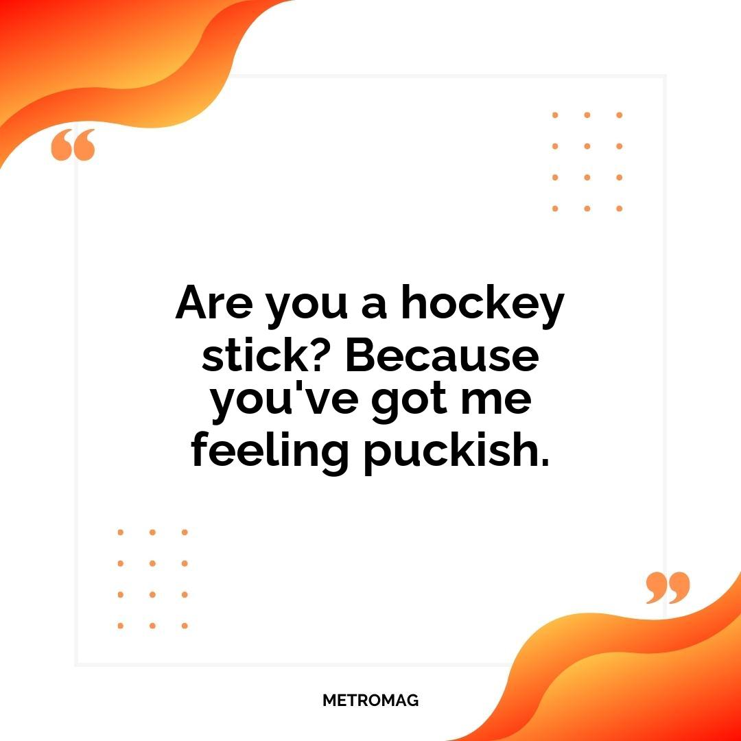 Are you a hockey stick? Because you've got me feeling puckish.