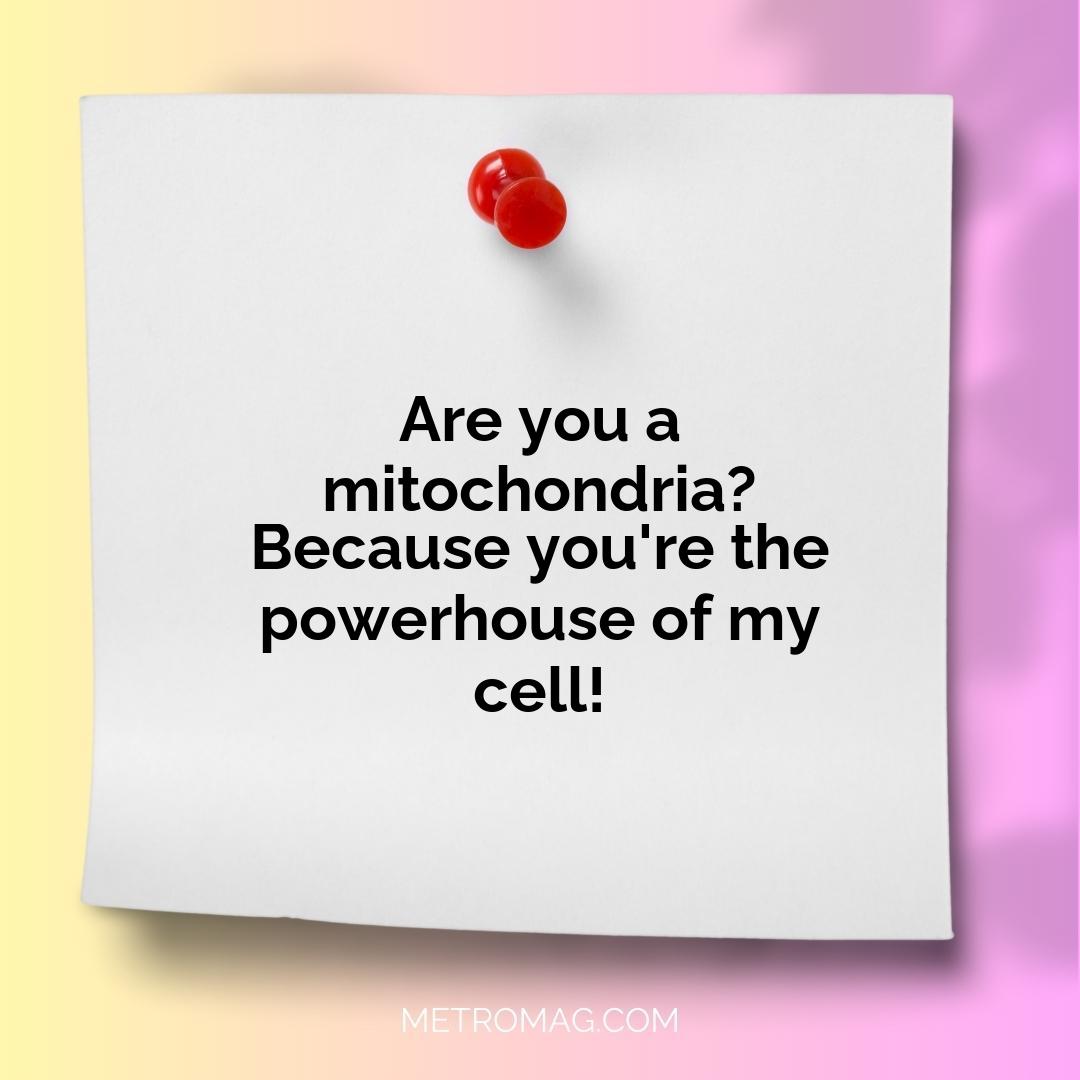 Are you a mitochondria? Because you're the powerhouse of my cell!
